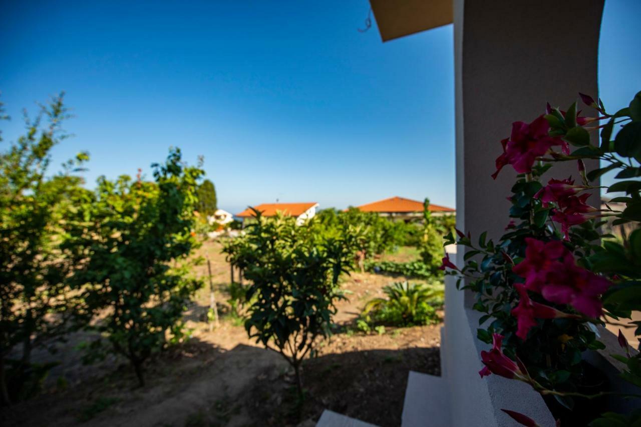 Bed and Breakfast Michelino House à Parghelia Extérieur photo